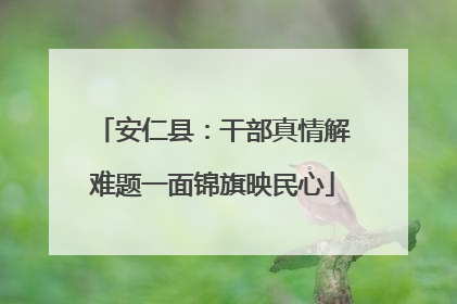 安仁县：干部真情解难题一面锦旗映民心